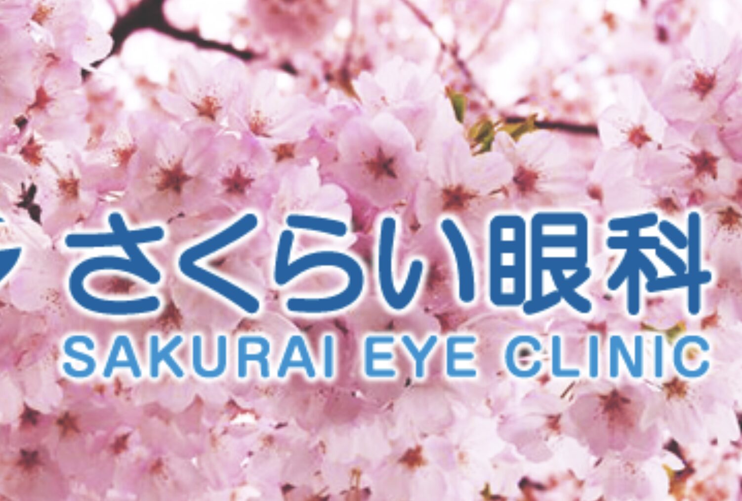 さくらい眼科2